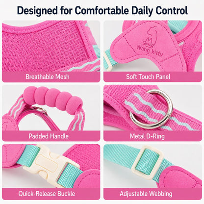 Ortekor Breathable Padded Dog Harness & Leash Set for Daily Walks - Easy-Control Vest for Small & Medium Dogs