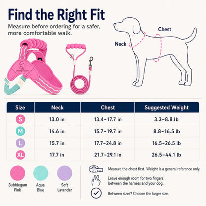 Ortekor Breathable Padded Dog Harness & Leash Set for Daily Walks - Easy-Control Vest for Small & Medium Dogs