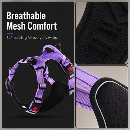 Ortekor Rechargeable LED Dog Harness for Night Walks - Back-Panel Glow & Reflective Webbing for Better Low-Light Visibility