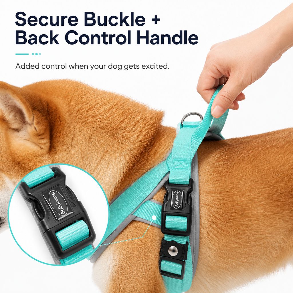 Ortekor Quick-Fit Lightweight Dog Harness & Leash Set for Daily Walks - No-Choke Step-In Comfort with Secure Buckle & Back Control Handle