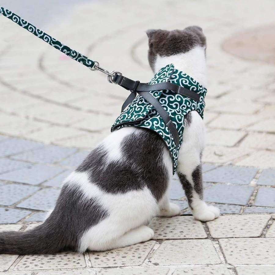 Reflective Cat Harness and Leash Set with Adjustable Vest for Safe Walking, Hiking & Training