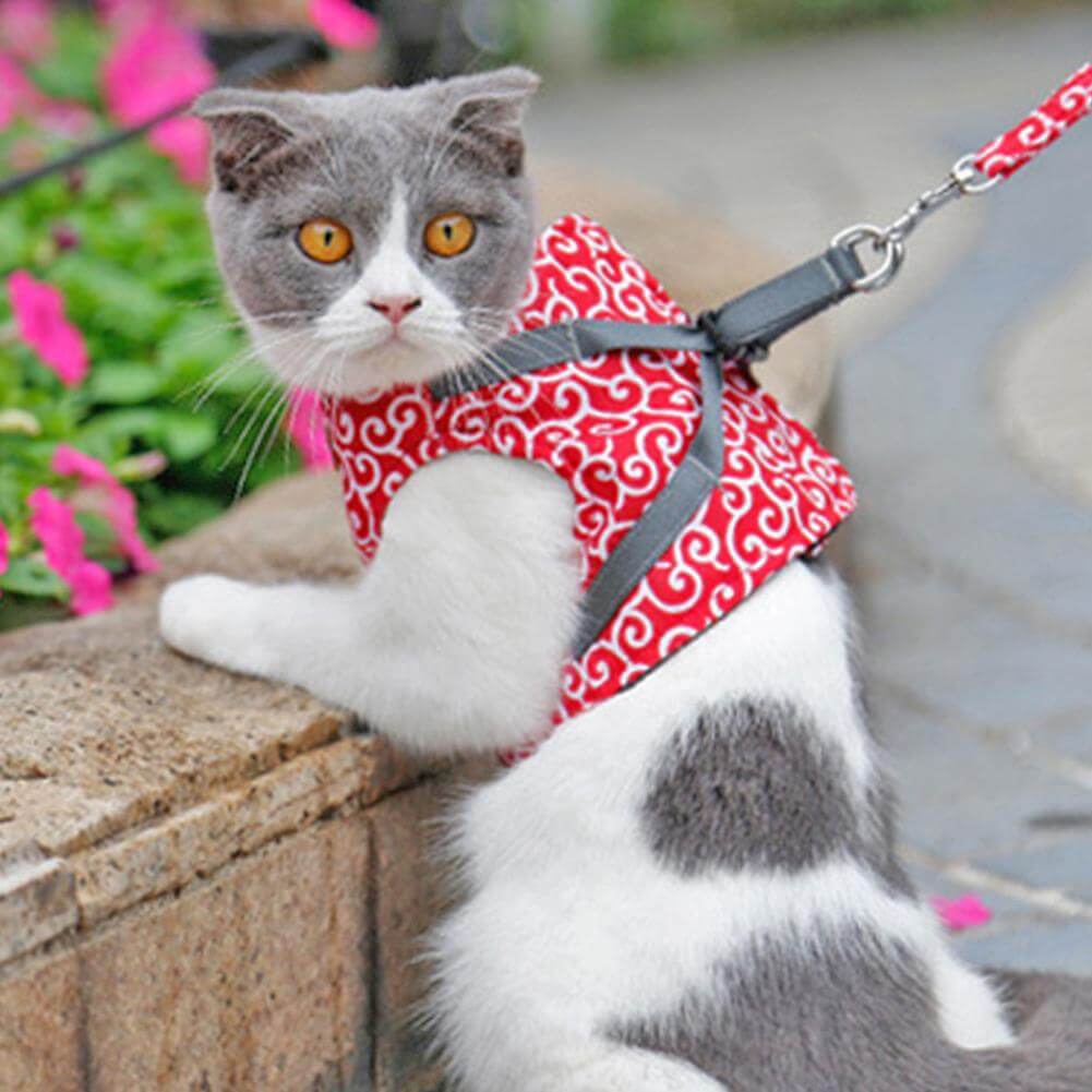 Cat Walking Harness & Leash Set | Breathable Mesh Vest Jacket for Outdoor Adventures | Adjustable No-Pull Design for Cats & Small Dogs