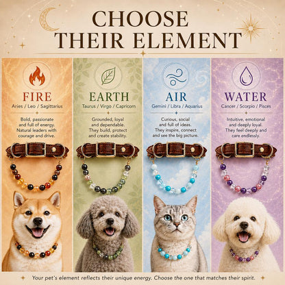 Ortekor Four Elements Crystal Pet Collar Gift Box for Cats & Small Dogs - Photo-Ready Astrology Pet Jewelry for Birthdays, Holidays & Meaningful Pet Gifts