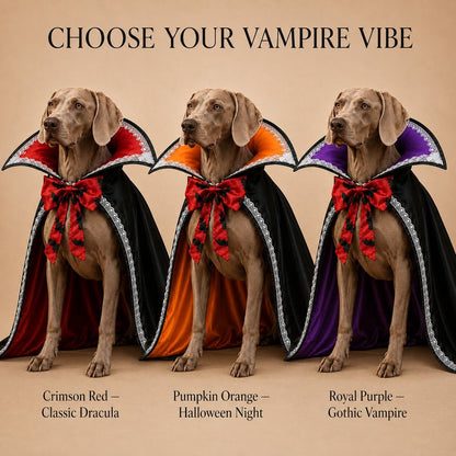 Ortekor Halloween Vampire Dog Cape Costume – Dracula Cloak with Stand-Up Collar for Trick-or-Treating, Parties & Photos