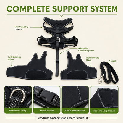 Ortekor Dual Rear Leg Dog Support Brace with Harness - Walking Stability for Weak Hind Legs