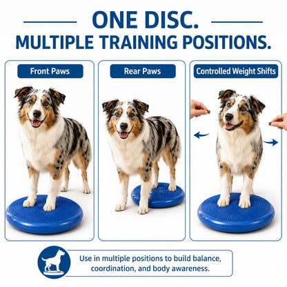 Ortekor Inflatable Dog Balance Disc with Pump - At-Home Balance & Coordination Training for Dogs with Limited Exercise Space