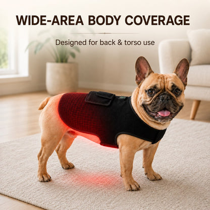 Ortekor Pet Red Light Therapy Vest for Dogs & Cats – 660nm + 850nm Near-Infrared for Back, Hip, Joint & Muscle Comfort – USB or Rechargeable