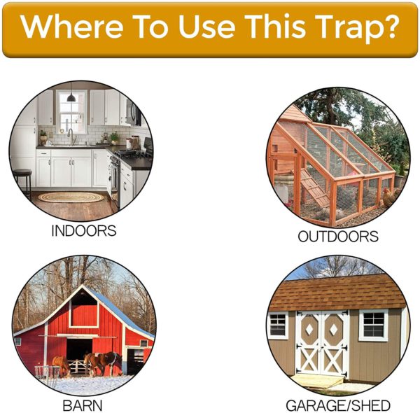 Humane Bucket-Top Rodent Catcher for Mice & Young Rats – Reusable Live Trap with Weighted Ramp – Safe for Pets & Kids