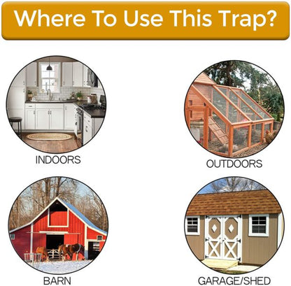Humane Bucket-Top Rodent Catcher for Mice & Young Rats – Reusable Live Trap with Weighted Ramp – Safe for Pets & Kids