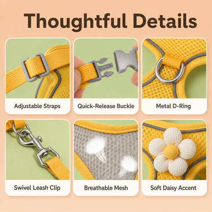 Ortekor Daisy Pet Harness & Leash Set for Daily Walks - Adjustable, Breathable Comfort for Small Dogs & Cats