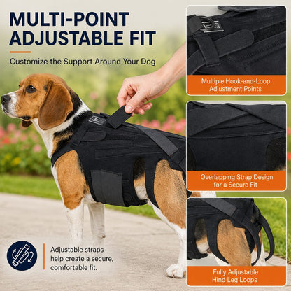 Ortekor Dog Back Support Brace for Senior & Recovering Dogs - Full-Body Mobility Vest for Walking Stability
