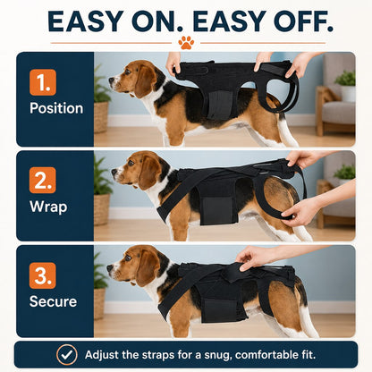 Ortekor Dog Back Support Brace for Senior & Recovering Dogs - Full-Body Mobility Vest for Walking Stability