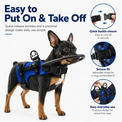 Ortekor Adjustable Dog Bumper Ring Harness for Safer Home Walking - Helps Blind & Senior Dogs Avoid Wall & Furniture Bumps