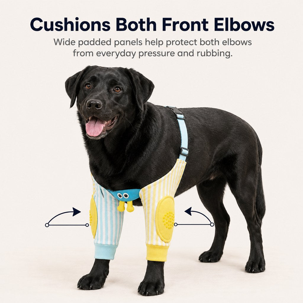 Ortekor Padded Dog Elbow Protector Sleeves for Hard Floors - Dual Front-Leg Coverage for Pressure & Rubbing