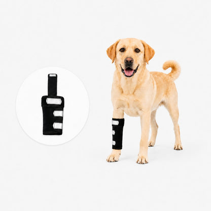 Ortekor Dog Front Leg Brace for Weak or Injured Legs - Adjustable Support for Stability, Recovery & Daily Walking Comfort