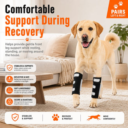 Ortekor Dog Front Leg Brace for Weak or Injured Legs - Adjustable Support for Stability, Recovery & Daily Walking Comfort