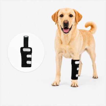 Ortekor Dog Front Leg Brace for Weak or Injured Legs - Adjustable Support for Stability, Recovery & Daily Walking Comfort