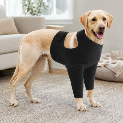 Ortekor Dog Front Leg Recovery Suit for At-Home Care - Helps Deter Licking