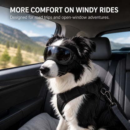 Ortekor Photochromic Dog Goggles for Hiking & Car Rides - Adjustable Wind, Dust & Debris Coverage