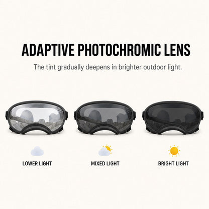 Ortekor Photochromic Dog Goggles for Hiking & Car Rides - Adjustable Wind, Dust & Debris Coverage