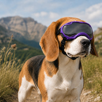 Ortekor Outdoor Dog Goggles for Hiking, Beach & Windy Rides - Smoke Lens Coverage for Dust, Sand & Debris