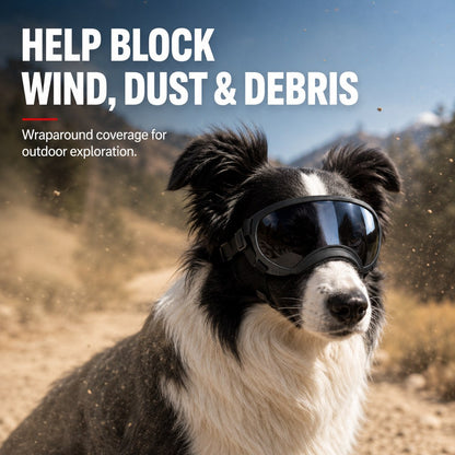 Ortekor Photochromic Dog Goggles for Hiking & Car Rides - Adjustable Wind, Dust & Debris Coverage