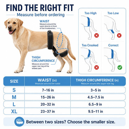 Ortekor Dog Hip & Rear Leg Support Brace – Adjustable Dual Hind-Leg Stability Wrap for Senior Dogs, Hardwood Floors & Daily Walks