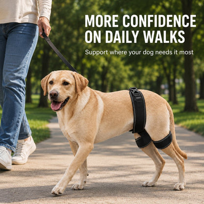 Ortekor Dog Hip & Rear Leg Support Brace – Adjustable Dual Hind-Leg Stability Wrap for Senior Dogs, Hardwood Floors & Daily Walks