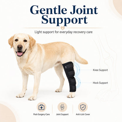 Ortekor Dog Leg Recovery Brace for Post-Surgery Care, Adjustable Rear Leg Support to Help Protect Against Licking & Chewing