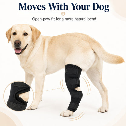 Ortekor Dog Leg Recovery Brace for Post-Surgery Care, Adjustable Rear Leg Support to Help Protect Against Licking & Chewing