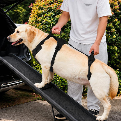 Ortekor Full-Body Dog Lift Harness for Large Dogs - Front & Rear Mobility Support for Stairs, Car Ramps and Weak Hind Legs