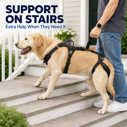 Ortekor Full Body Dog Lift Harness for Stairs & Car - Mobility Support for Weak Hind Legs