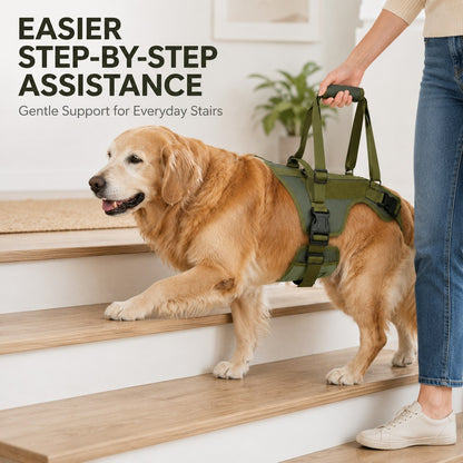 Ortekor Full-Body Dog Lift Support Harness for Stairs, Cars & Limited Mobility