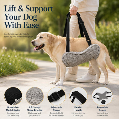 Ortekor Dog Lift Support Sling for Stairs & Walks - Adjustable Mobility Harness for Senior Dogs with Weak Legs