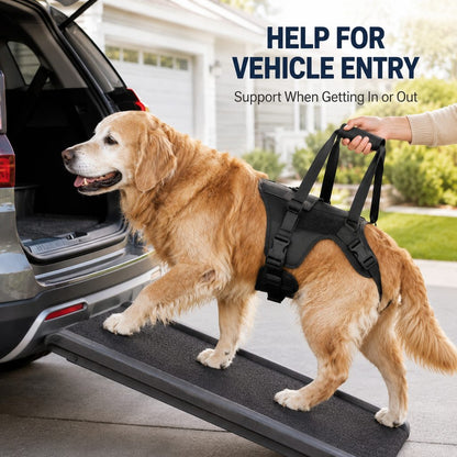 Ortekor Full-Body Dog Lift Support Harness for Stairs, Cars & Limited Mobility