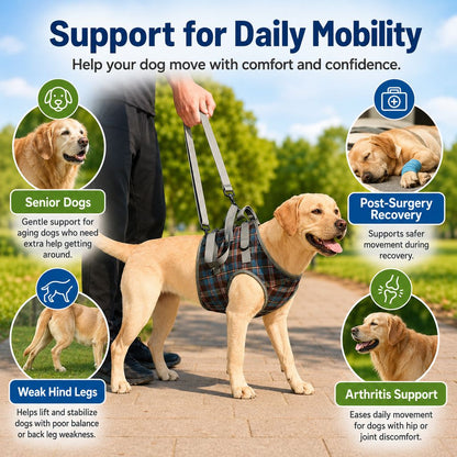 Ortekor Dog Mobility Support Harness for Stairs & Cars - Front or Rear Lift Assist for Weak Legs