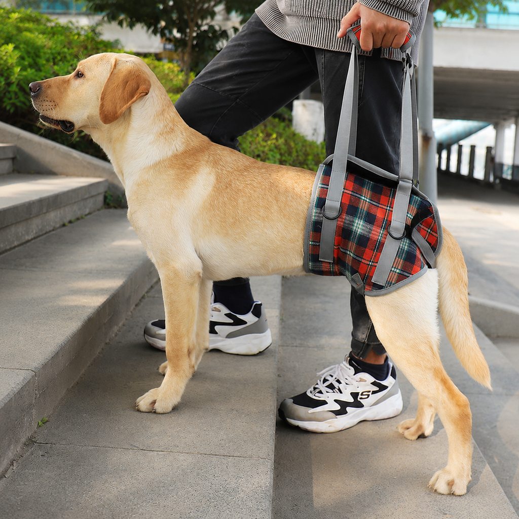 Ortekor Dog Mobility Support Harness for Stairs & Cars - Front or Rear Lift Assist for Weak Legs