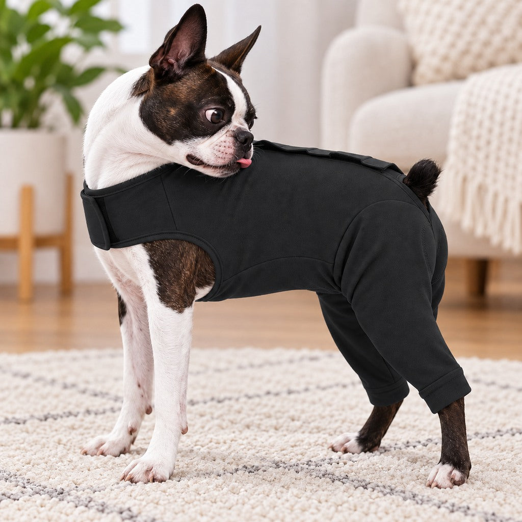 Ortekor Dog Post-Surgery Recovery Suit - Rear Leg Anti-Lick Cone Alternative