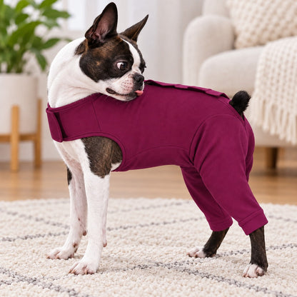 Ortekor Dog Post-Surgery Recovery Suit - Rear Leg Anti-Lick Cone Alternative