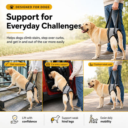 Ortekor Dog Rear Support Harness for Stairs, Walks & Car Rides - Mobility Lift Sling for Senior Dogs with Weak Hind Legs