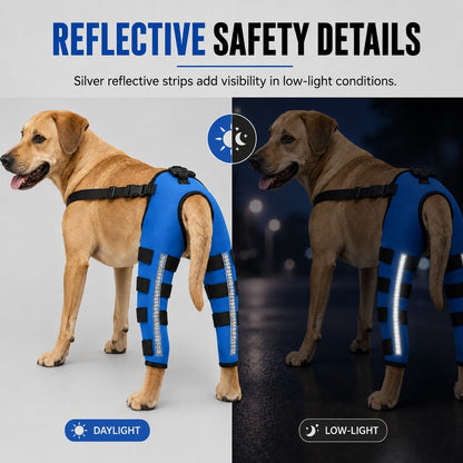 Ortekor Reflective Dog Rear Leg Support Brace for Evening Walks & Recovery Comfort