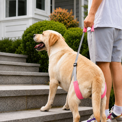Ortekor Dog Rear Leg Lift Support Sling for Stairs & Cars - Senior Dog Mobility Support