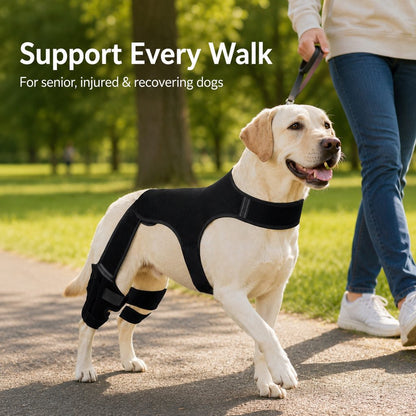 Ortekor RearGuard Dog Rear Leg Support Brace - Anti-Slip Hind Leg Stability Wrap for Senior Dogs, Hardwood Floors & Recovery Walks