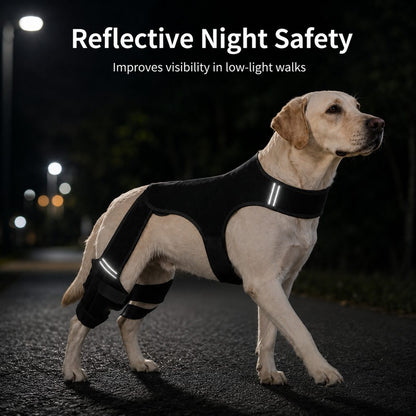 Ortekor RearGuard Dog Rear Leg Support Brace - Anti-Slip Hind Leg Stability Wrap for Senior Dogs, Hardwood Floors & Recovery Walks