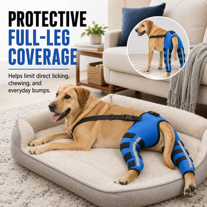 Ortekor Reflective Dog Rear Leg Support Brace for Evening Walks & Recovery Comfort