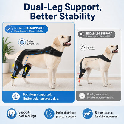 Ortekor Dog Rear Leg Support Harness for Senior Dogs - Dual Hind Leg Mobility Aid for Walking & Standing