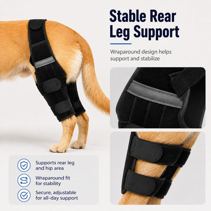 Ortekor Dog Rear Leg Support Harness for Senior Dogs - Walking & Mobility Lift Assistance