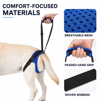 Ortekor Adjustable Dog Rear Lift Support Harness - Hind Leg Assistance for Stairs, Car Entry & Daily Walks