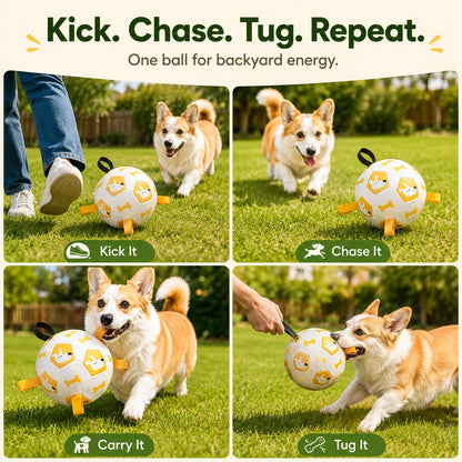 Ortekor Interactive Dog Soccer Ball with Grab Tabs for Backyard Fetch & Tug - Helps High-Energy Dogs Burn Boredom