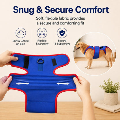 Ortekor Dog Spine Support Vest for Senior & Recovery Dogs - Adjustable Back Support for Walking & Daily Mobility